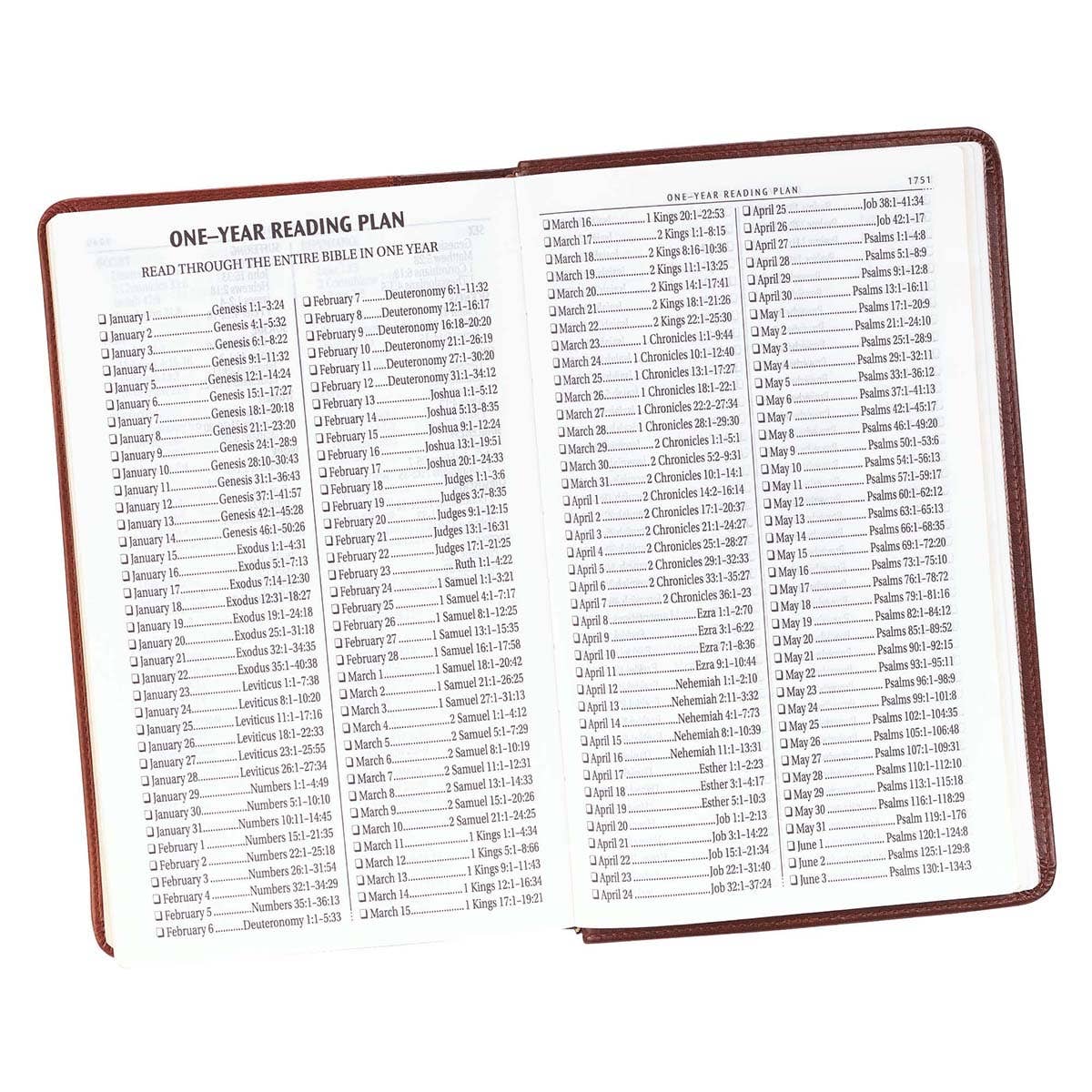 Brown Faux Leather Giant Print King James Version Bible
