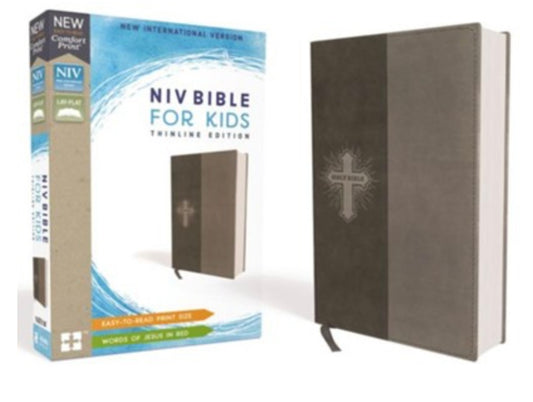 NIV Bible for Kids | Gray Thinline