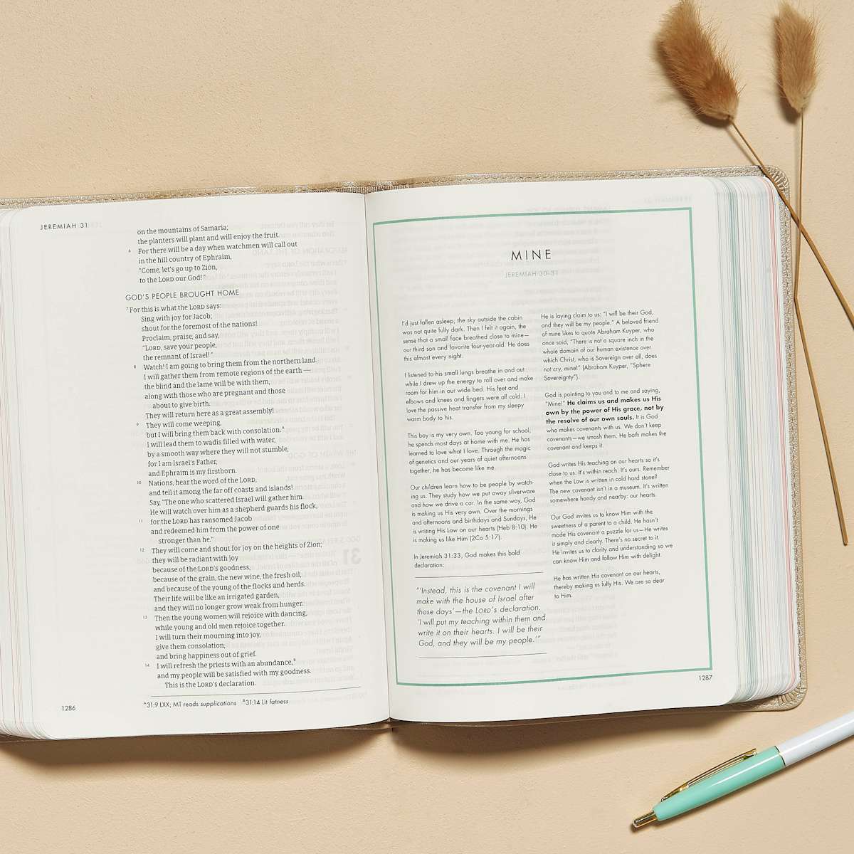 CSB She Reads Truth Bible, Champagne Gold LeatherTouch