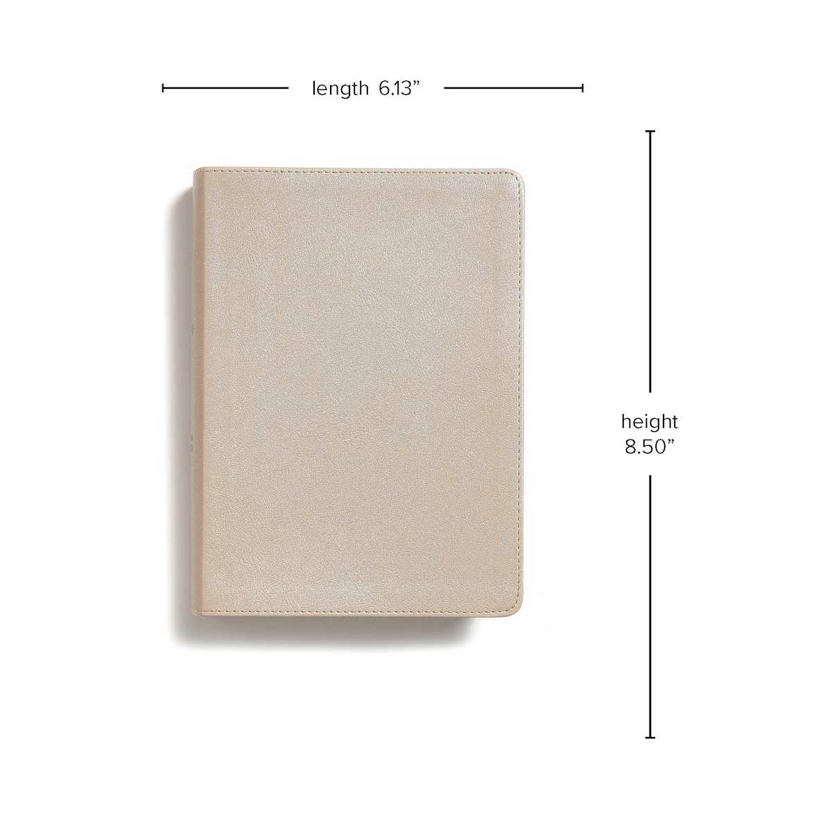 CSB She Reads Truth Bible, Champagne Gold LeatherTouch