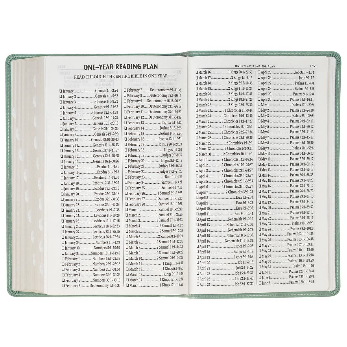 KJV Bible Giant Print Standard-size Faux Leather, Teal
