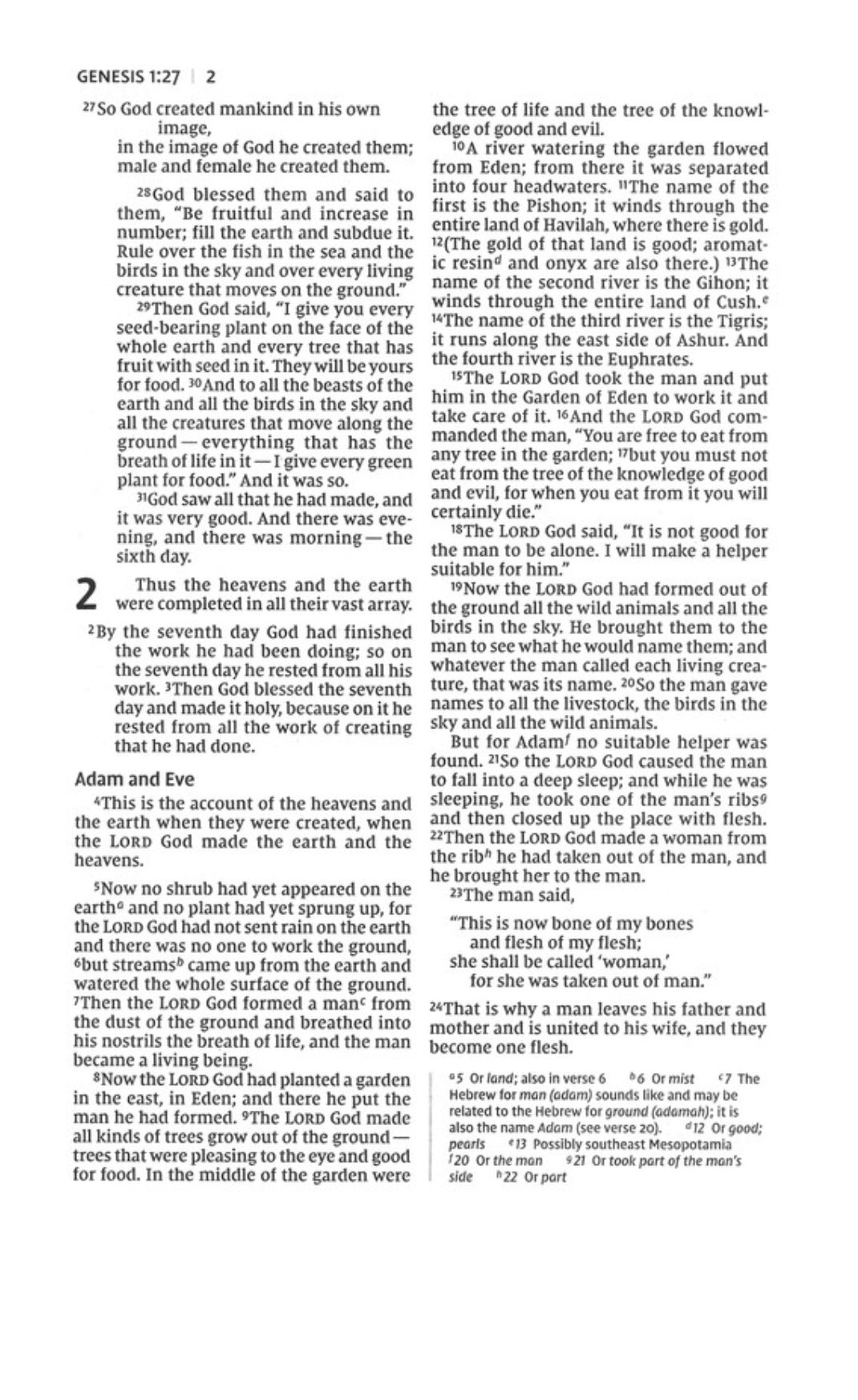 NIV Thinline Bible | Black | Large Print