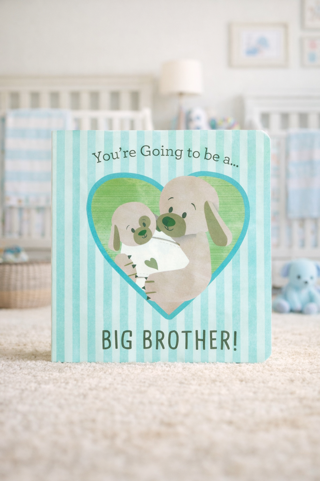 You're Going To Be a Big Brother Book