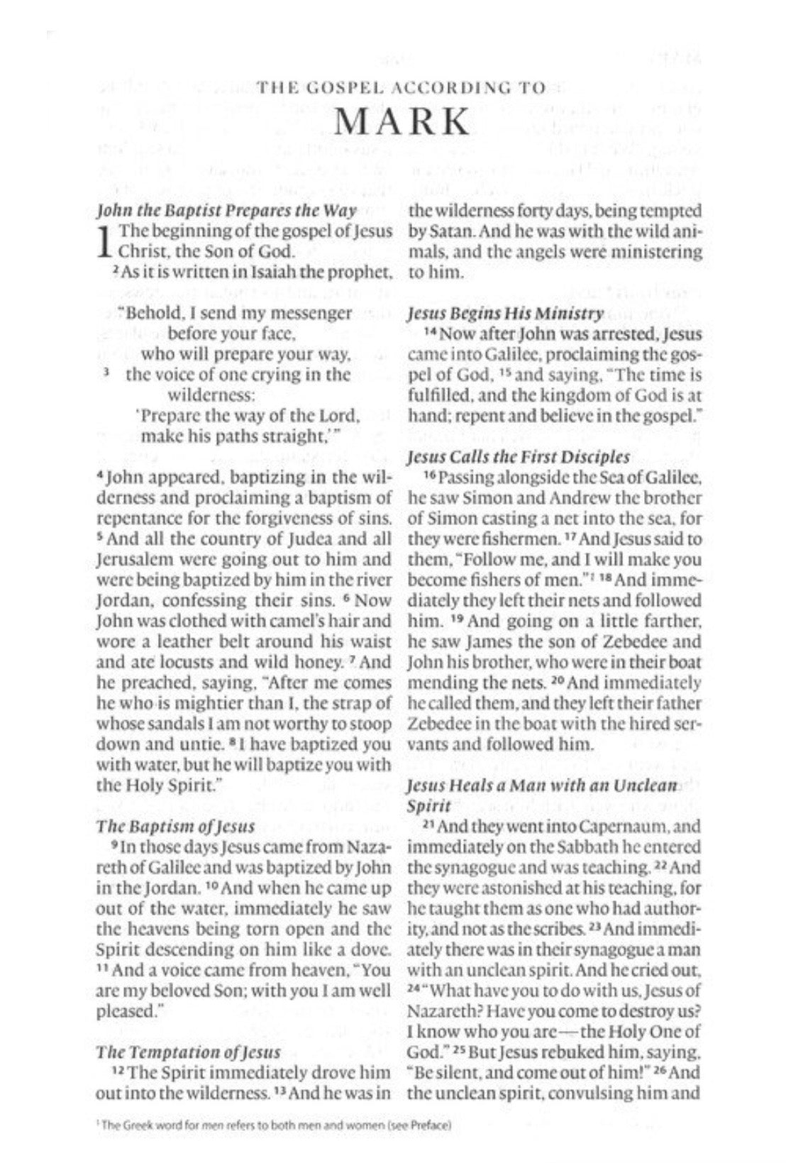 ESV Large Print Thinline Bible - River Stone