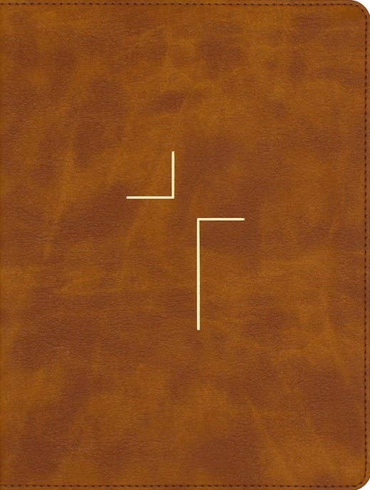 NIV, The Jesus Bible, Tan