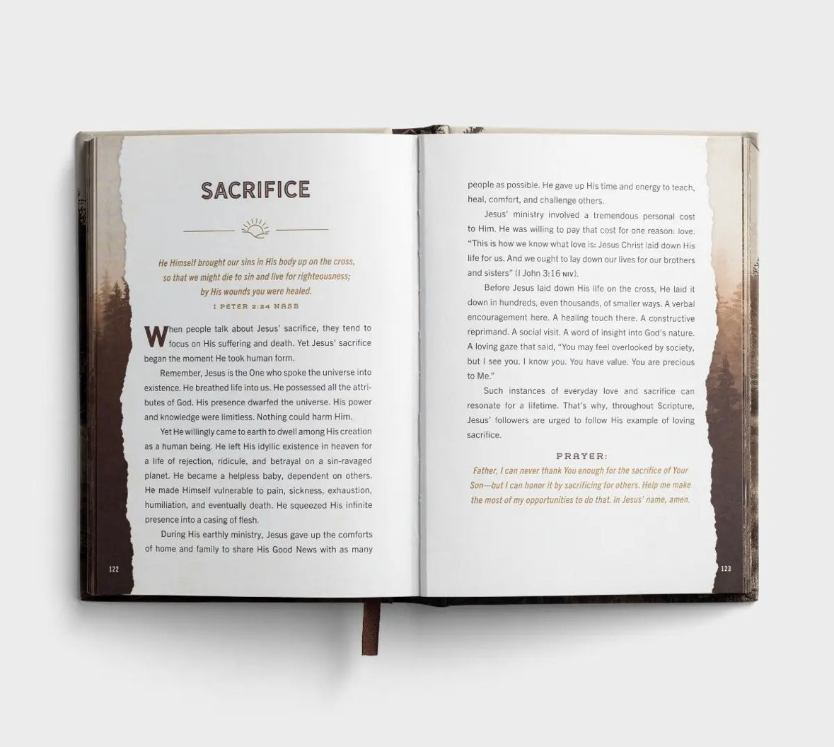 Designed For Greatness | Devotions For Men