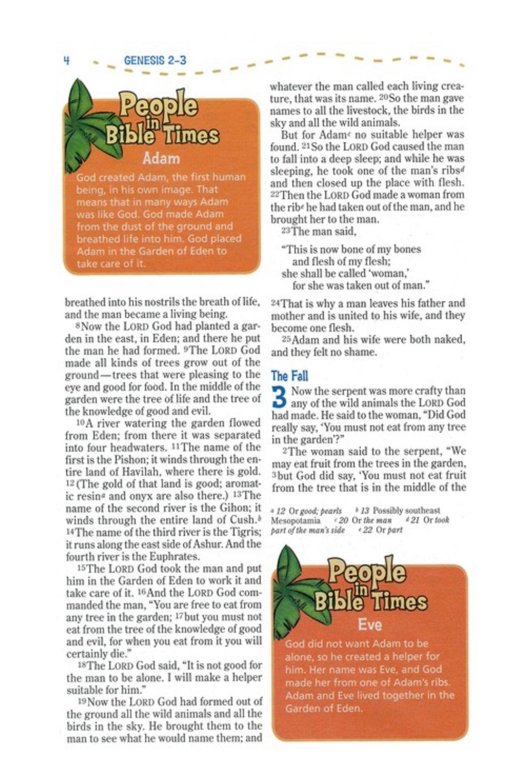 NIV Adventure Bible