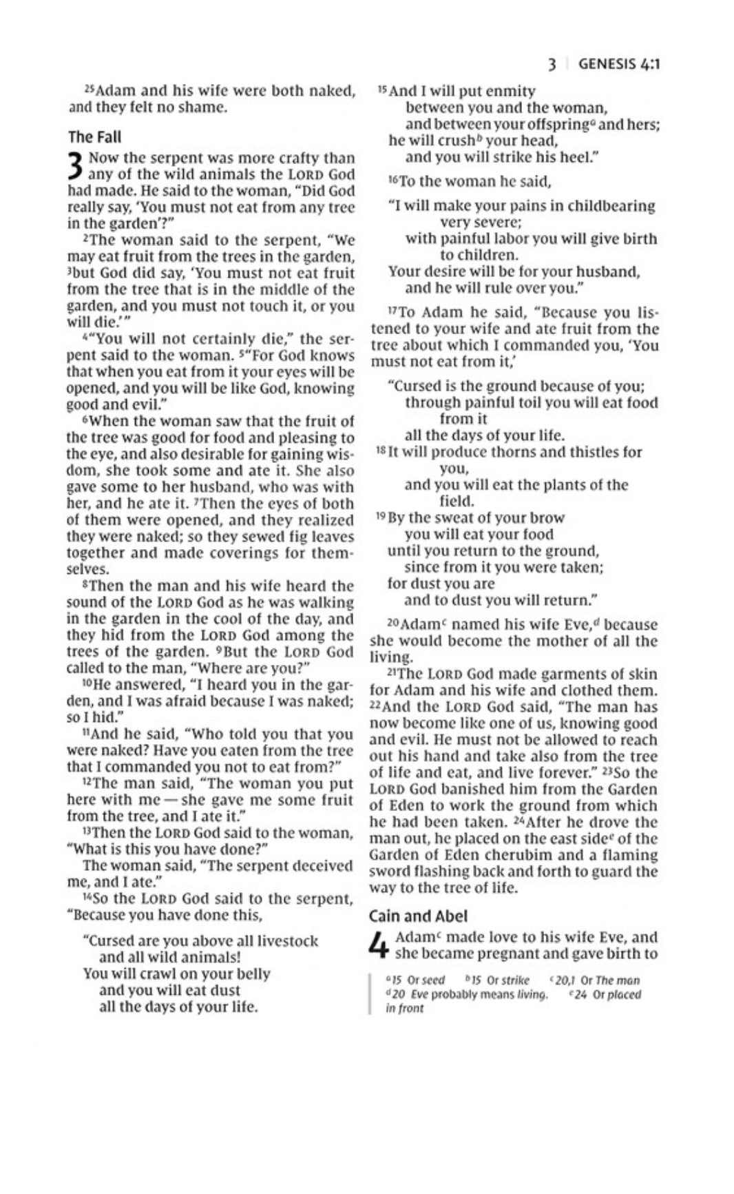 NIV Thinline Bible | Black | Large Print