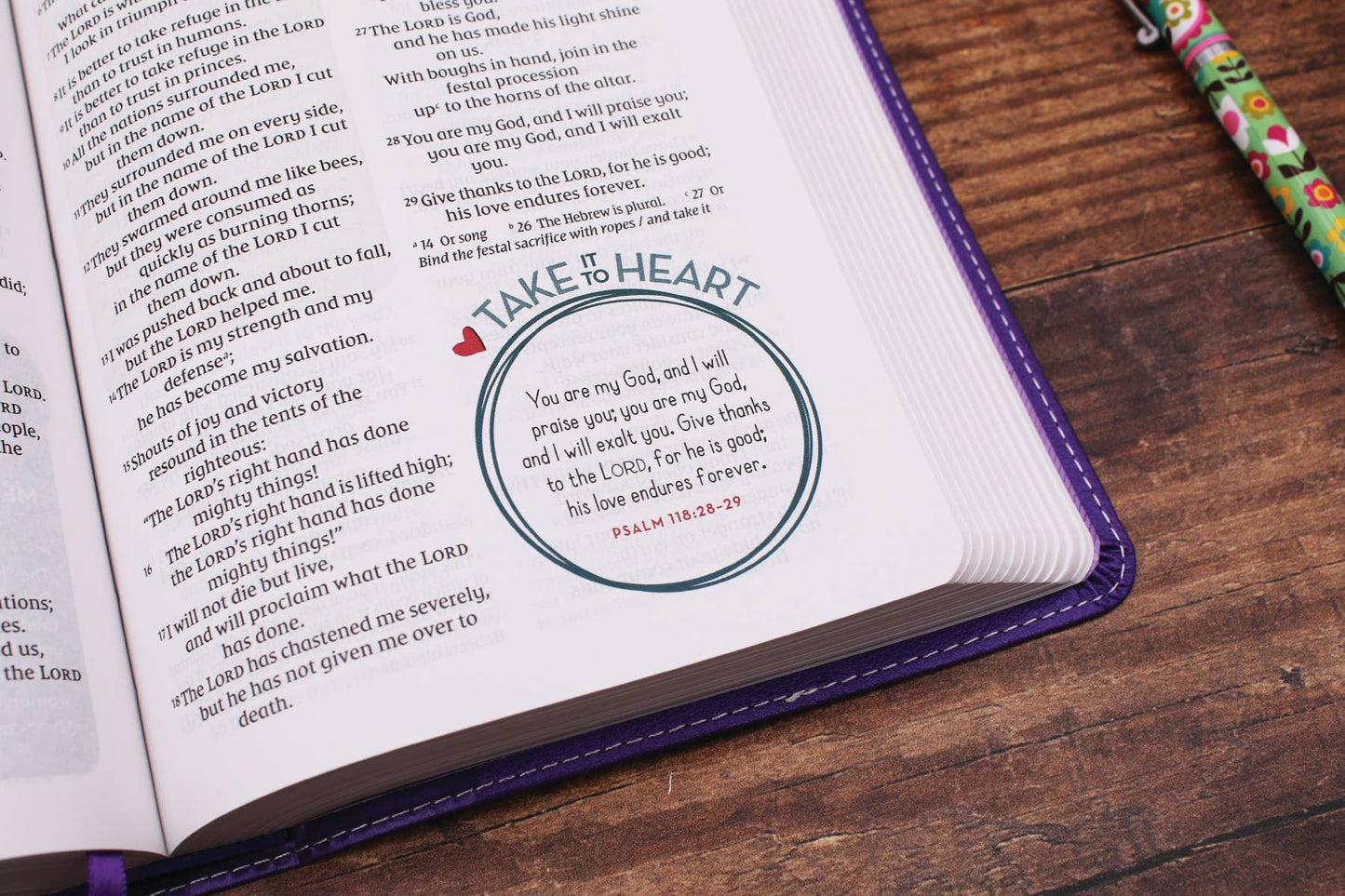 NIV Kingdom Girls Bible, Full Color, Leathersoft, Purple