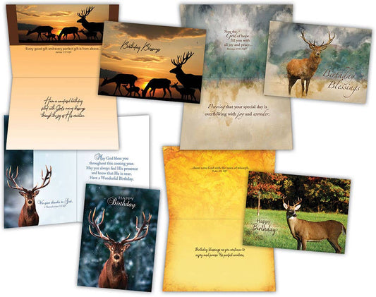 Birthday  Wildlife - Assorted Birthday Cards Box of 12