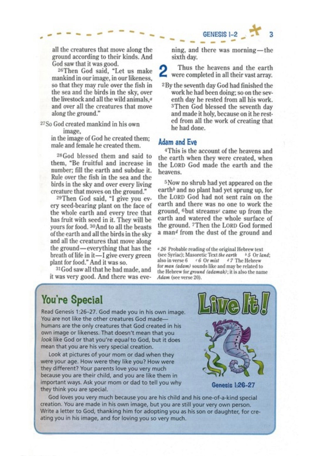 NIV Adventure Bible