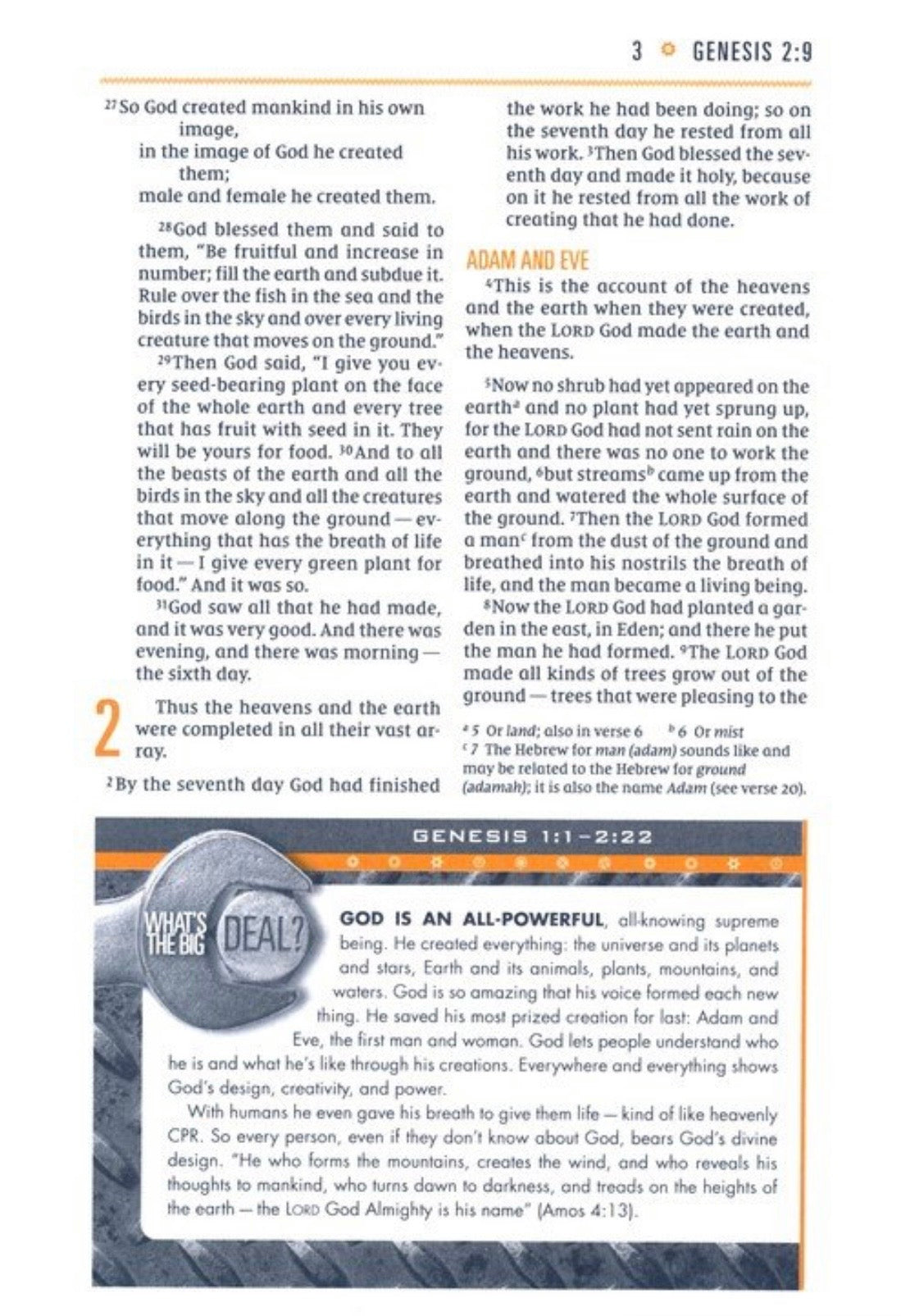 NIV Boys Bible - Camo