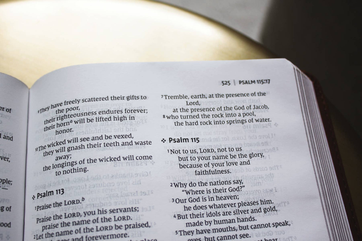 NIV Thinline Bible, Leathersoft, Brown, Red Letter