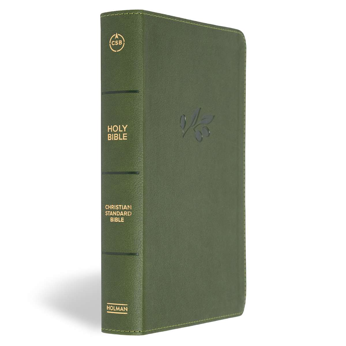 CSB Large Print Personal Size Digital Study Bible