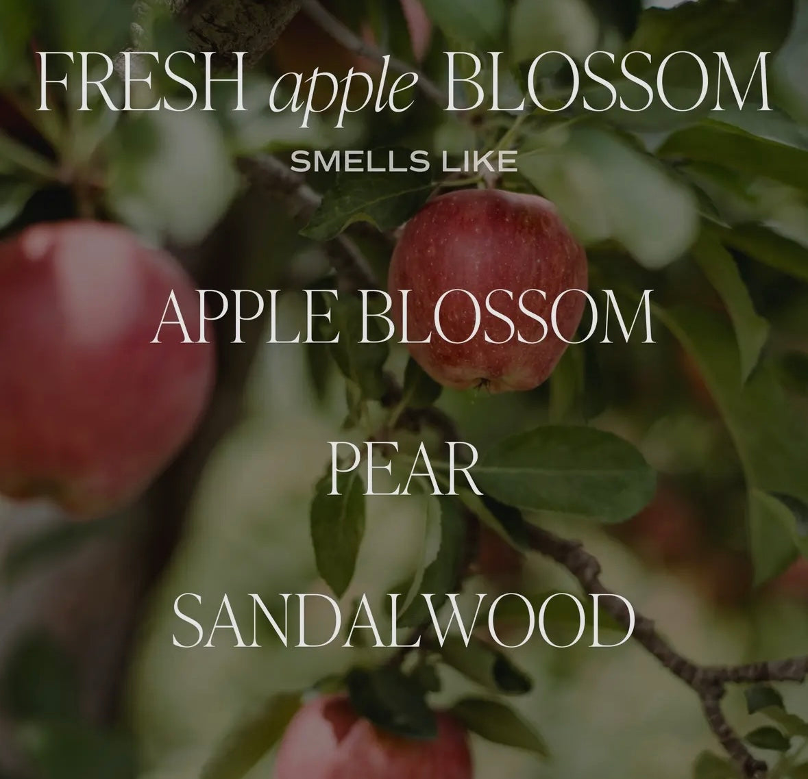 Fresh Apple Blossom 9 oz Soy Candle