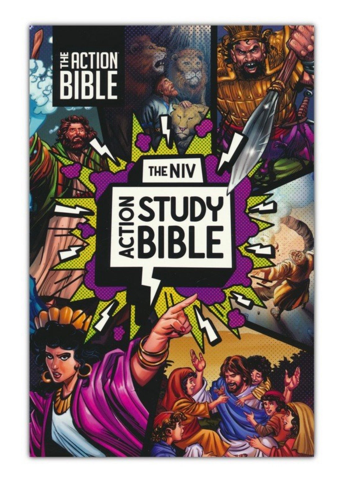 NIV The Action Study Bible