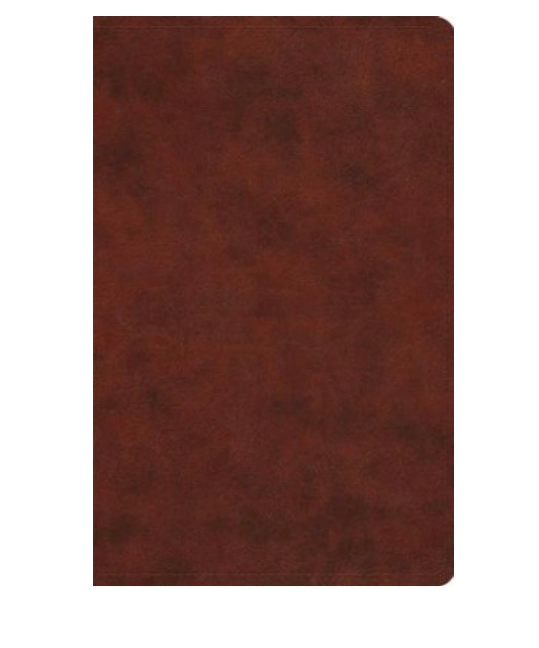 ESV Large Print Thinline Bible - Chestnut