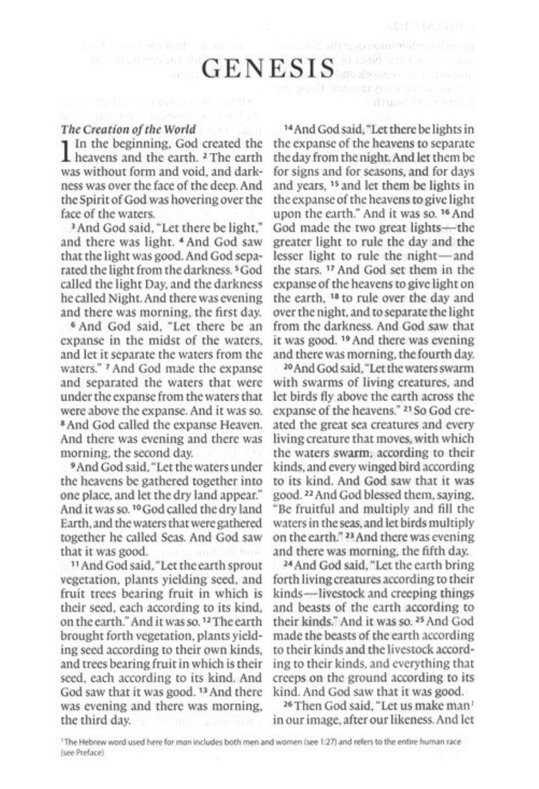 ESV Large Print Thinline Bible - River Stone