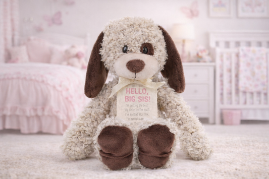 Gift from the New Kid: Big Sister