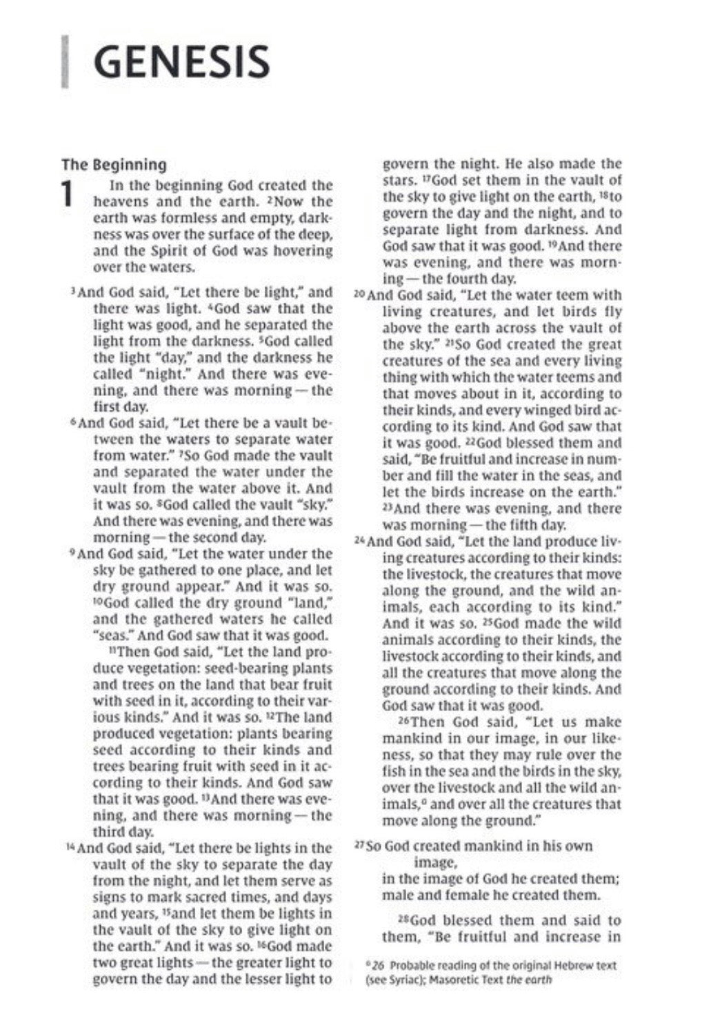 NIV Bible for Teens Pink Thinline