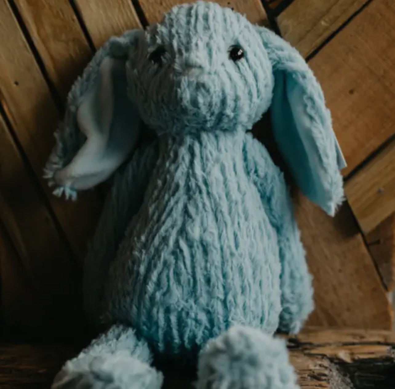 Soft Plush Bunny