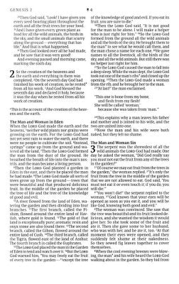 NLT Premium Value Thinline Bible, Large Print, Filament-Enabled--soft leather-look, black