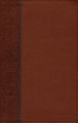 NIV Quest Study Bible for Teens, Comfort Print--soft leather-look, brown