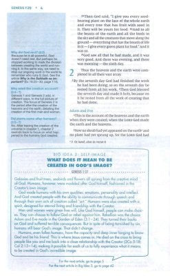 NIV Quest Study Bible for Teens, Comfort Print--soft leather-look, brown