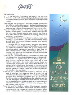 NIV Beautiful Word Bible, Updated Edition--clothbound hardcover, multi-color floral