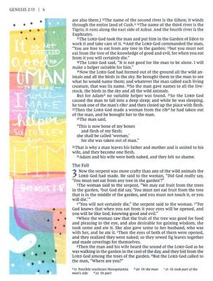 NIV Beautiful Word Bible, Updated Edition--clothbound hardcover, multi-color floral