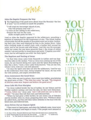NIV Beautiful Word Bible, Updated Edition--clothbound hardcover, multi-color floral