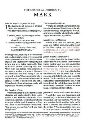 ESV Large Print Compact Bible, Red Letter--soft leather-look, stone, branch