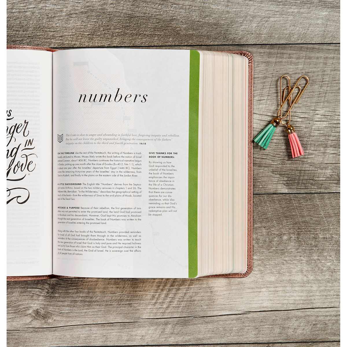 CSB She Reads Truth Bible, Rose Gold LeatherTouch