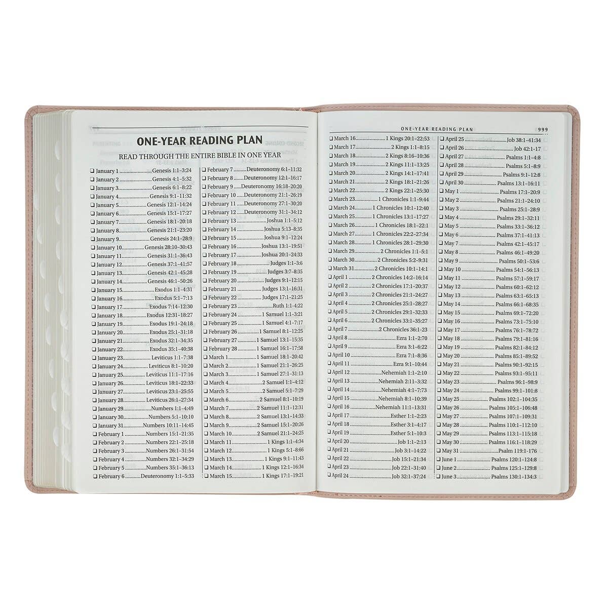 KJV Bible Thinline LP Faux Leather Trust, Pink