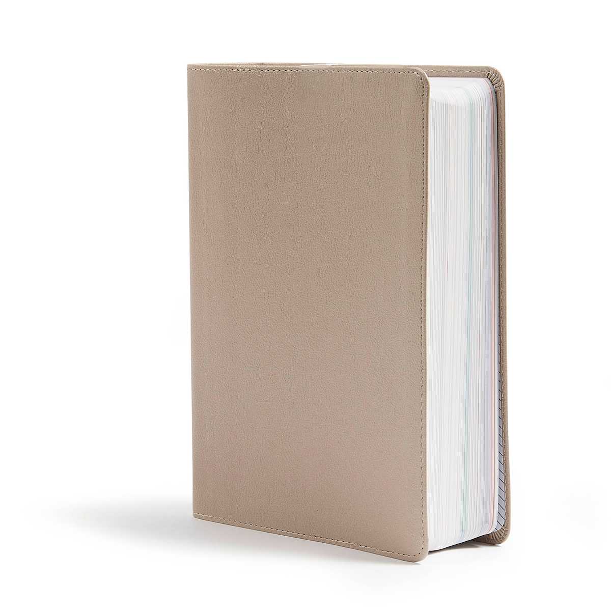 CSB She Reads Truth Bible, Champagne Gold LeatherTouch