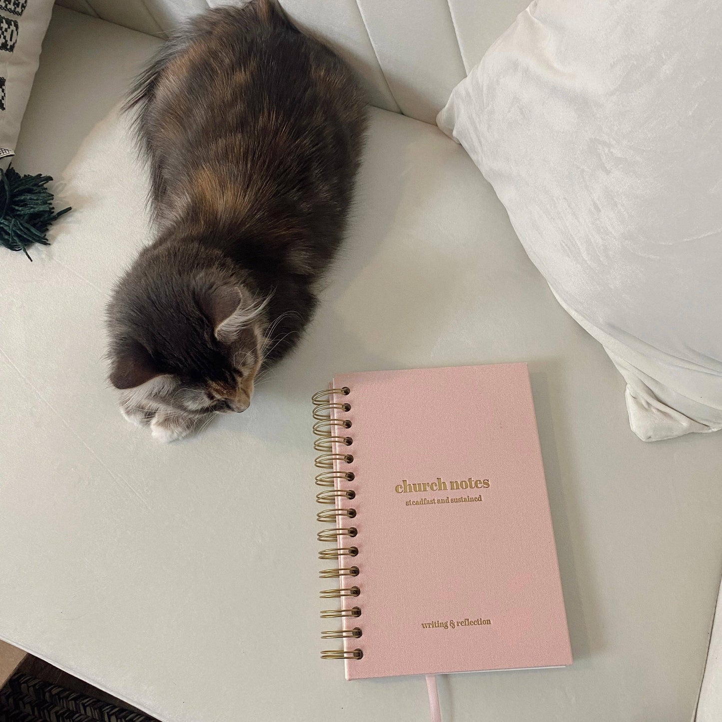 Church Notes Journal - Spiral Linen Pink