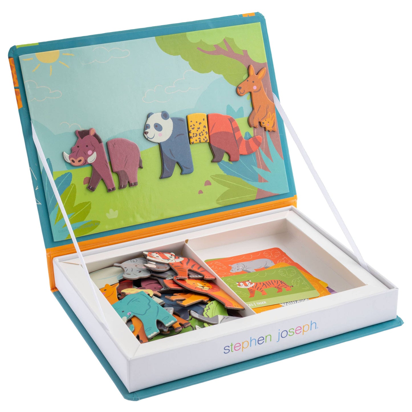 Magnetic Activity Set